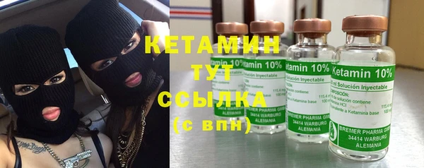 эйфоретик Няндома