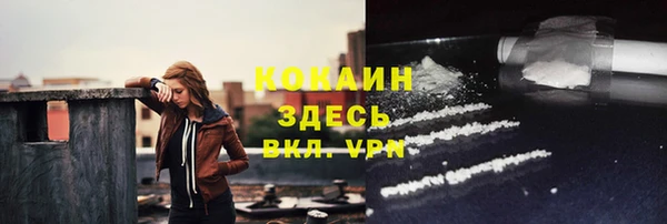 эйфоретик Няндома