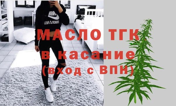 эйфоретик Няндома