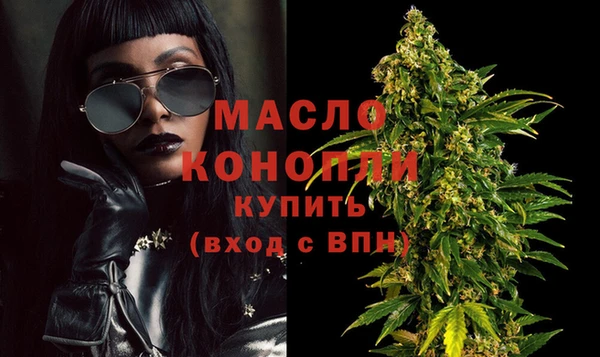 амф Новозыбков