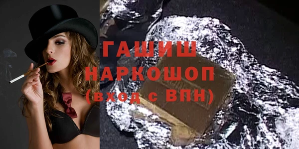 эйфоретик Няндома